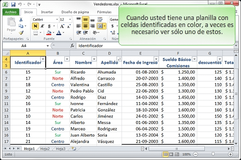 Curso de Excel 2010 – Filtros por Colorスクリーンショット