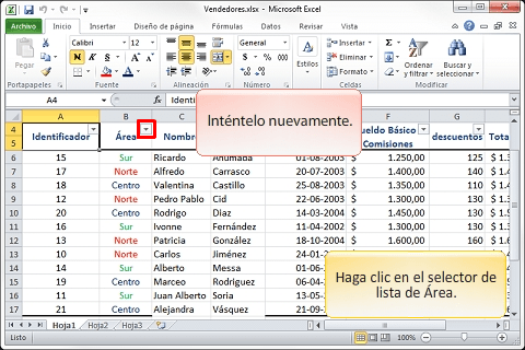 Curso de Excel 2010 – Filtros por Colorスクリーンショット