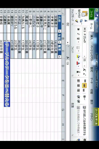 e解説 Excel 2010スクリーンショット