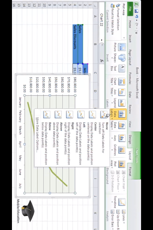 Excel 2010 PRO: Video training courseスクリーンショット